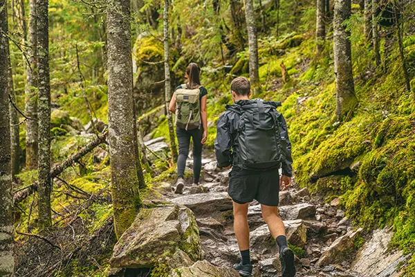 Hiking and nature trails